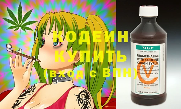 амф Гусев